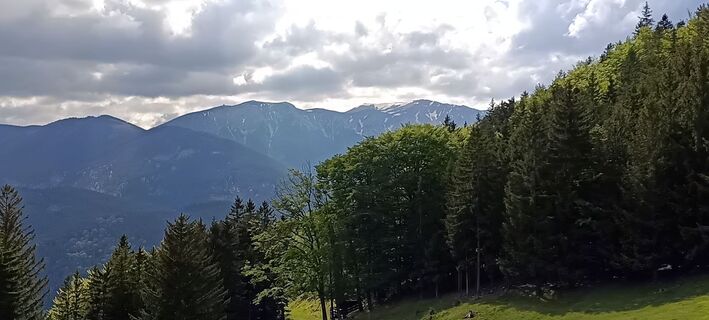 Fotografia z Bergpirat na trase