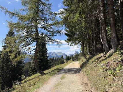 Foto von Astrid entlang der Tour