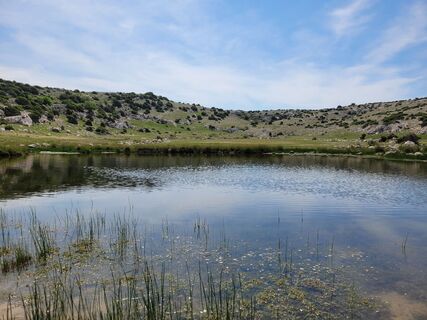 Fotografia z Juliane Jarke na trase