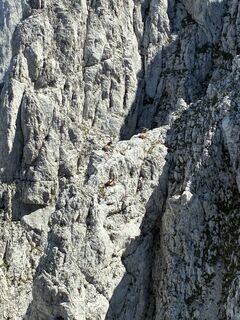 Photo de Luciano le long du parcours