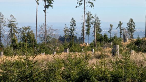 Photo de twuest le long du parcours
