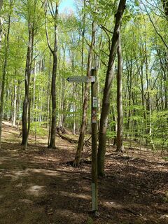 Fotografija s spletne strani Edit Szoboszlay na poti