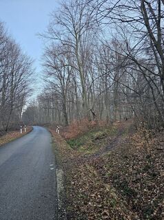 Fotografia z Attila Bicskó na trase