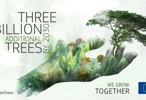 Dieses Aufforstungsprojekt, das in Zusammenarbeit mit Etifor durchgeführt wird, ist Teil der europäischen Kampagne „3 Billion Trees“, die darauf abzielt, bis 2030 mindestens 3 Milliarden Bäume in der EU zu pflanzen