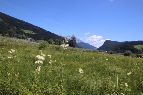 Foto von Günter Kleutsch entlang der Tour