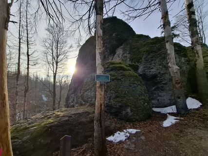 Fotografija s spletne strani Wollomator na poti