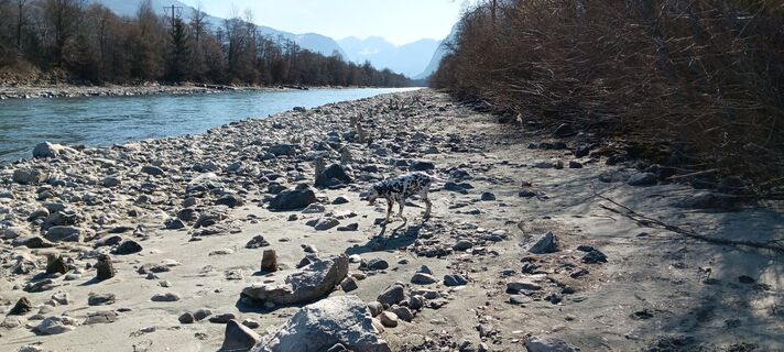 Fotografia z Martin Lobenwein na trase
