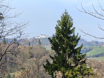 Foto von Stefan entlang der Tour
