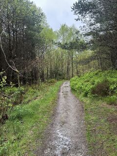 Photo de Maximilian Schranz le long du parcours