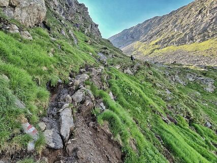 Auf den Greifenberg führt ein schmaler Pfad