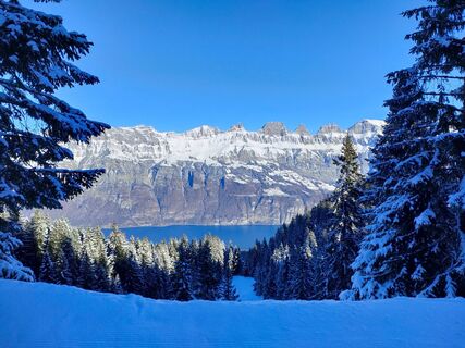 Der Blick auf die gegenüberliegenden Churfirsten und den Walensee ist beeindruckend