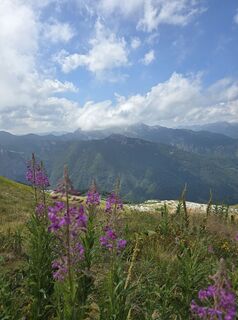 Foto da Veljko4 lungo il tour