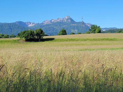 Foto de Susanne Linzbacher a lo largo del recorrido