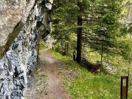 Breite Singletrails zwischen den Tunnels