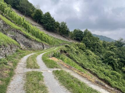 Foto von Claus Hechler entlang der Tour