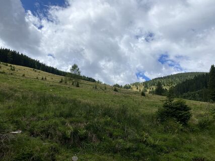 Fotografie de la Dietmar Taurer de-a lungul turului