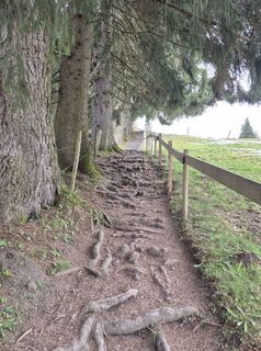 Photo from Anja Mohn-Gross along the tour