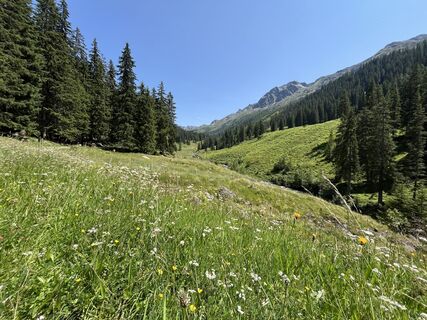 Foto de Andi72U a lo largo del recorrido