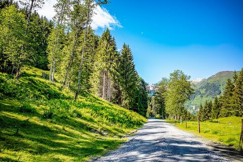 MTB  Tour Lechnerberg.jpg