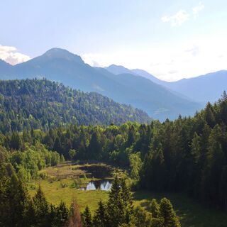 Biotop Palù Longa