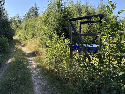 Photo de Toralf Wannagas le long du parcours