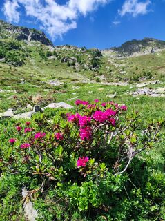 Foto von Bergfex User entlang der Tour