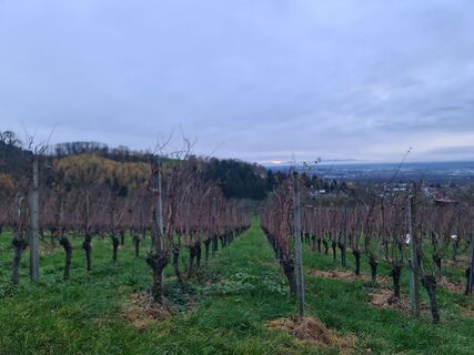 Foto von W B MA entlang der Tour