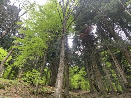 Photo de Toni Lerda le long du parcours