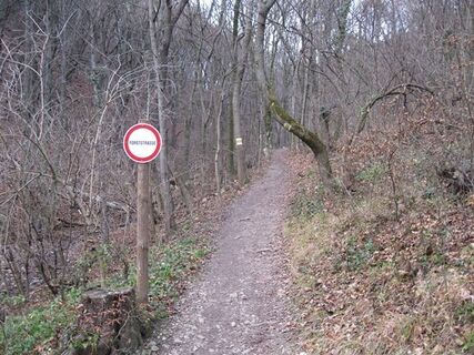 Expedition Kahlenberggrat