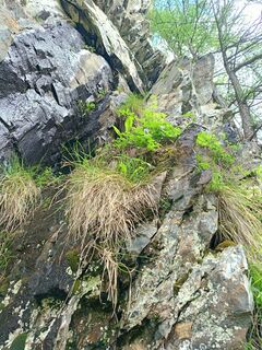 Fotografia z michael Wolfger na trase