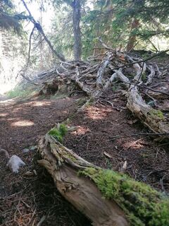 Fotografia z Turbinio na trase