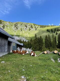 Foto von Elisa entlang der Tour