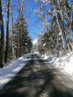 Foto de Dagmar Hofer a lo largo del recorrido