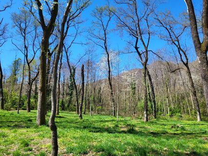 Foto von yolanda beck entlang der Tour