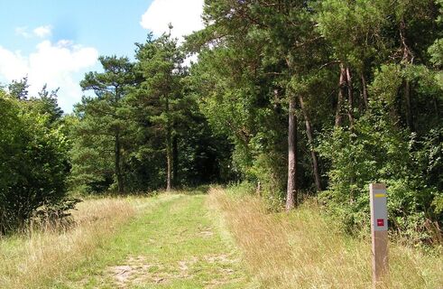 Fignières_larris_Balisage©SommeTourisme-DMarechal