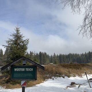 Fotografia z Steffen Kiesel na trase