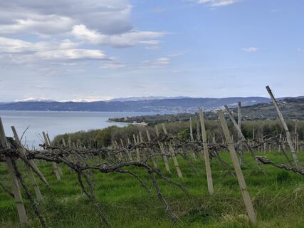 Фото с сайта Stefano Fontanel во время экскурсии