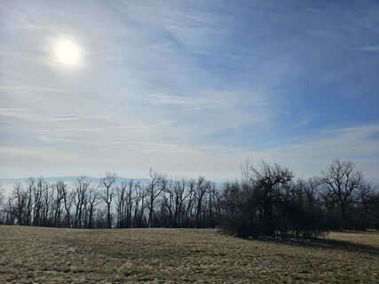 Fotografia z Attila Bicskó na trase