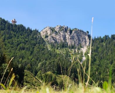 Buchensteinwand mit Jakobskreuz