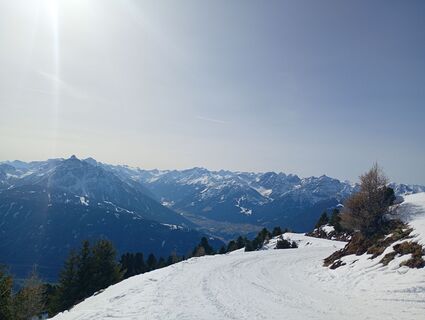 Photo de Patrick Donnelly le long du parcours