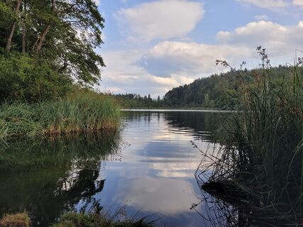 Foto von Susanne Linzbacher entlang der Tour