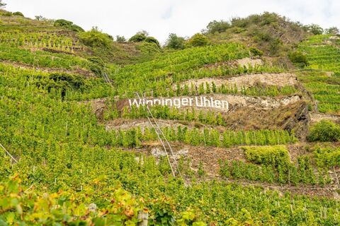 Weinberge Winningen