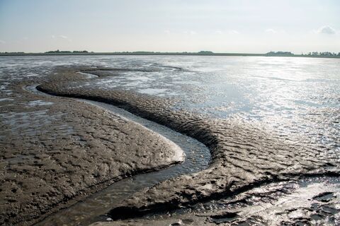 Wattlandschaft vor Wremen