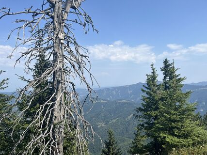 Foto von Andreas Hanzalek entlang der Tour