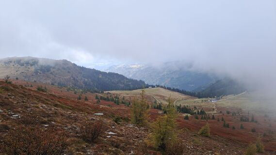 Foto de Kreuzig a lo largo del recorrido