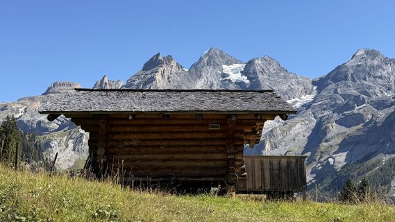 Fotografija s spletne strani Rodrigo Martino na poti