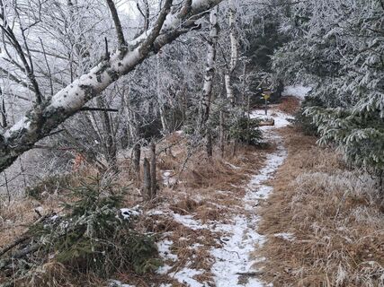 Fotografia z maria_hochschwab na trase