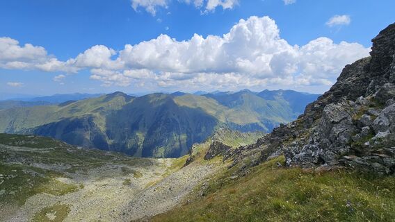 Photo de Alexandra Stani le long du parcours