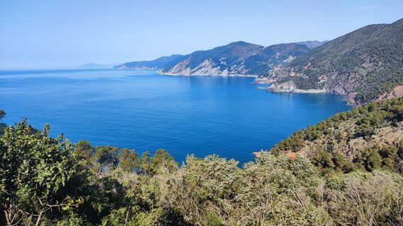 Fotografija s spletne strani Stefano Fabi na poti