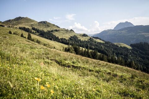 Schwarzkogel_Kitzbüheler Alpen - Brixental_Mathäus Gartner_FULL02.jpg